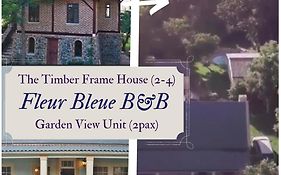 Fleur Bleue & The Timber Frame